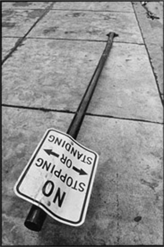 NO STOPPING OR STANDING Copyright © Mark Chester